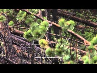 The Choice  - Lower 48 Western Bear'N Down Adventure