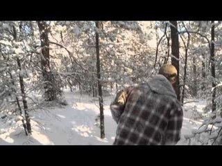 Predator Nation - Dogs are Mans Best Friend