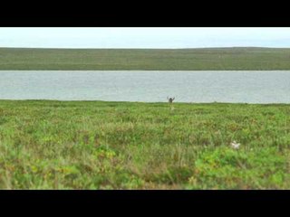 The EDGE - Muskeg and Meteors