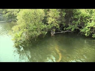 Fish TV - Land O' Lakes Bass