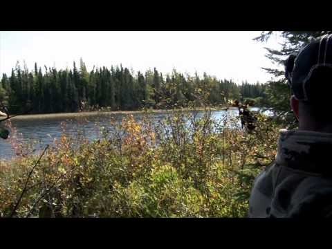 Hitmen Canada - Up Close and Personal