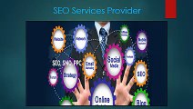 SEO Services Provider