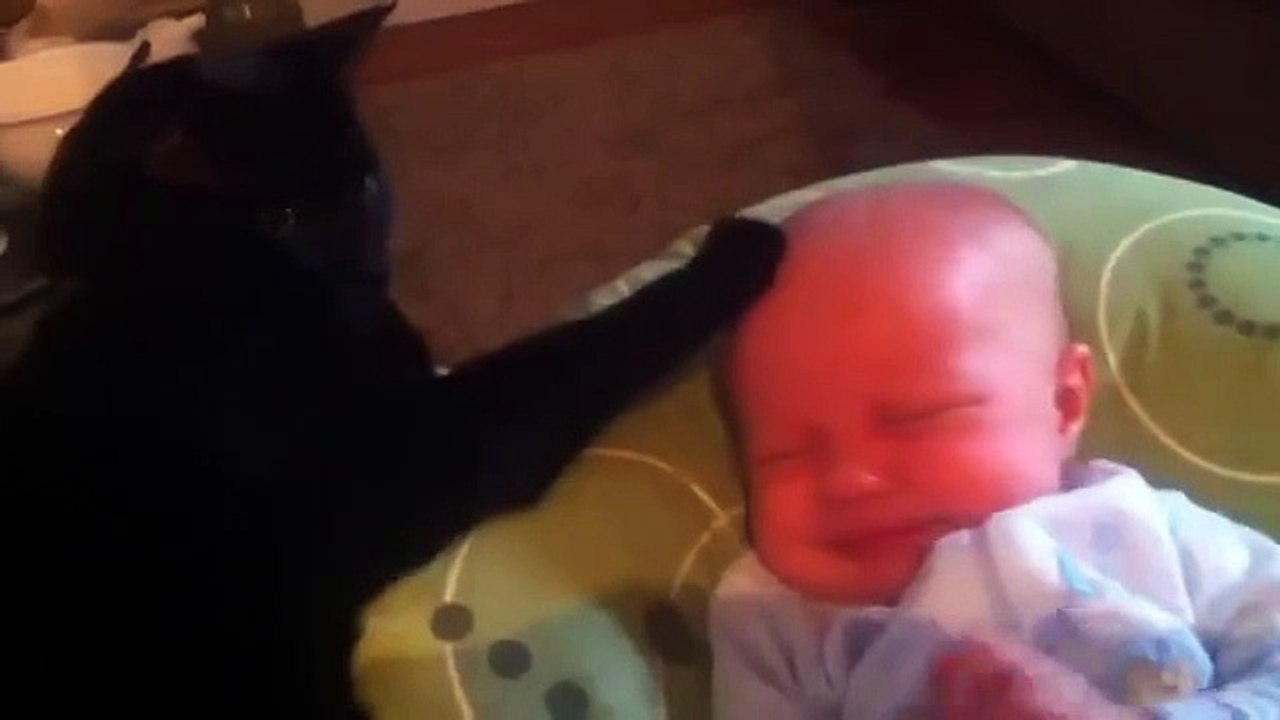 Ребёнок начал плакать. То, что сделал с ним этот чёрный котище, поразило