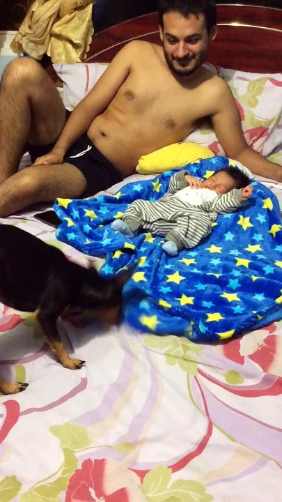 Quand le chien de la famille borde le bébé qui dort