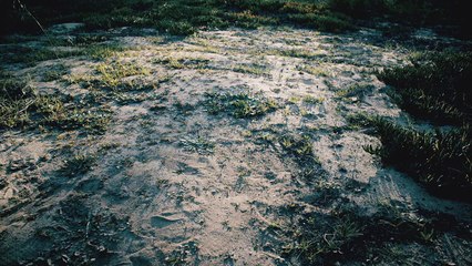 It Feels Good to Be a Clinton