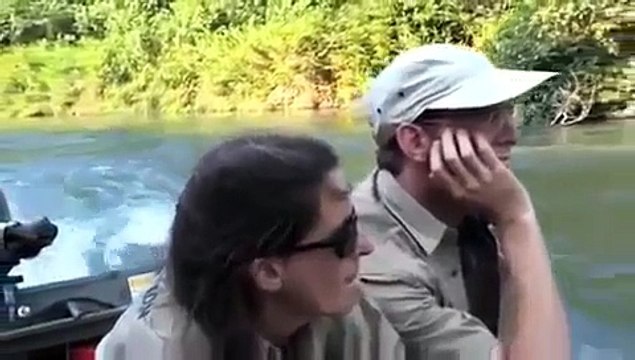 Встреча человека с гориллой которую он вырастил