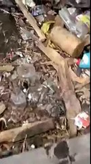 Мент решил вздремнуть на помойке!
