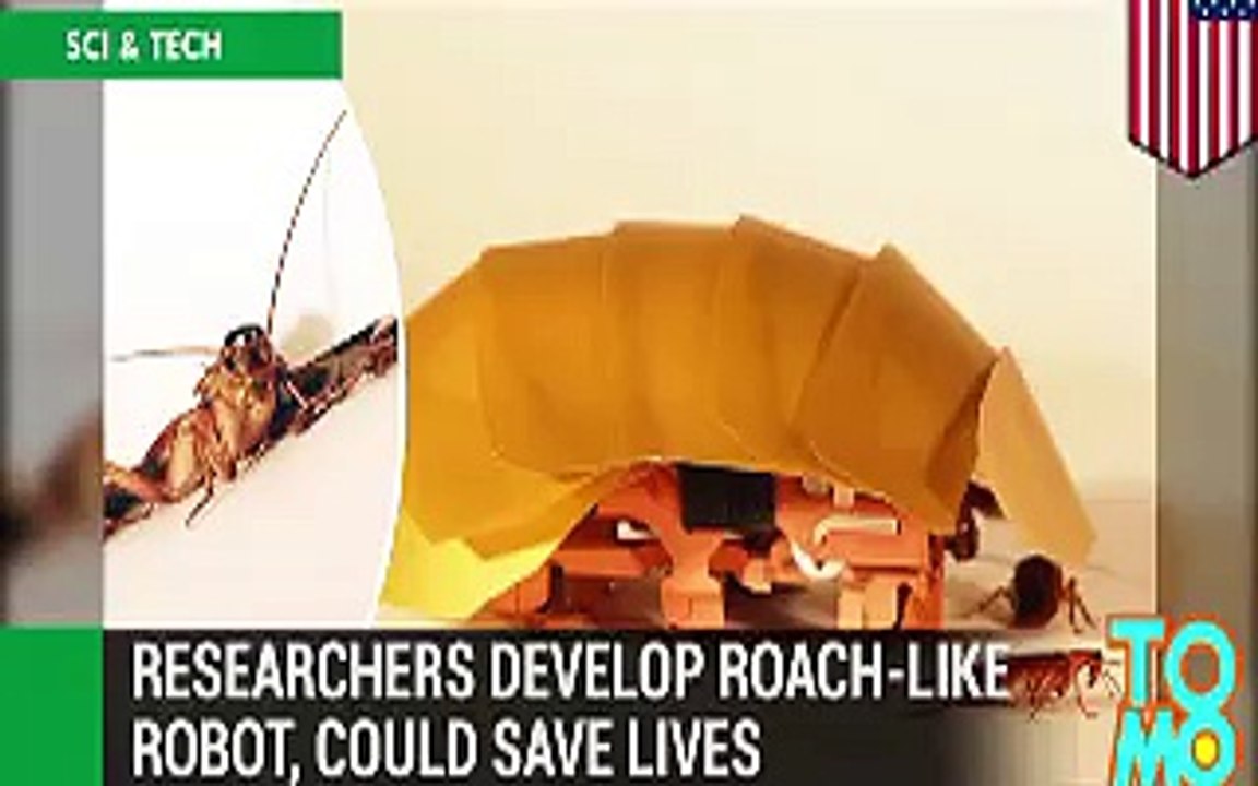 Creepy robot cockroach can squeeze into tiny gaps