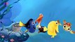 Finding Nemo Finger Family Songs | Finger Family Fish Cartoon Animation Nursery Rhymes for Children