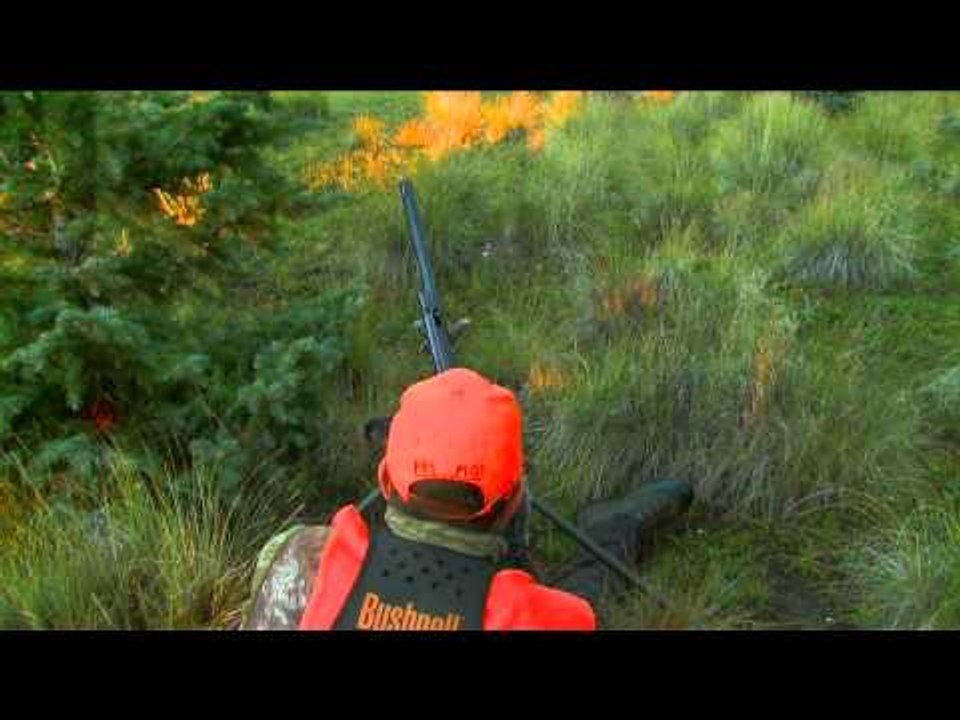Primos - The Truth About Hunting - Elk Hunting in Colorado at the Hill Ranch