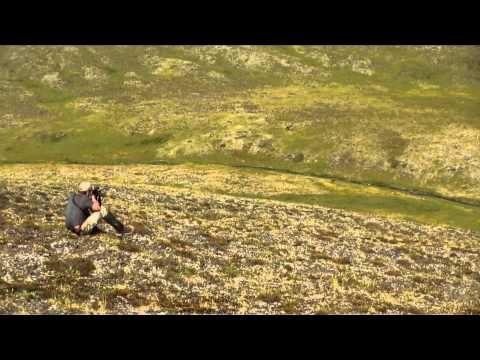 Nosler's Magnum TV - Alaska on Edge Part 2