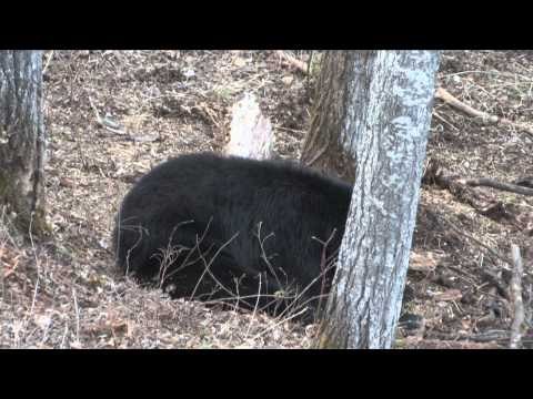 The Bone Yard - We Have a Winner!