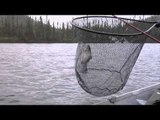 Quebec Outfitter's Camp - Quebec Nature Outfitters