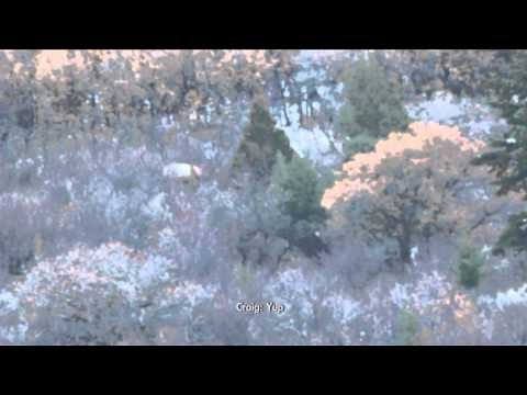 Extreme Outer Limits TV - Colorado Elk Part 2