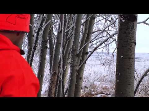 The Bone Yard - Alberta Boy Versus Saskatchewan Whitetail