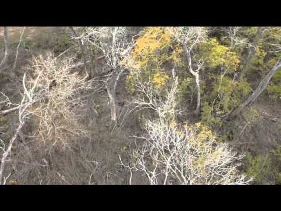 Yeti's Ultimate Hunt - Bill Webber