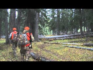 North American Hunter - High Country Elk