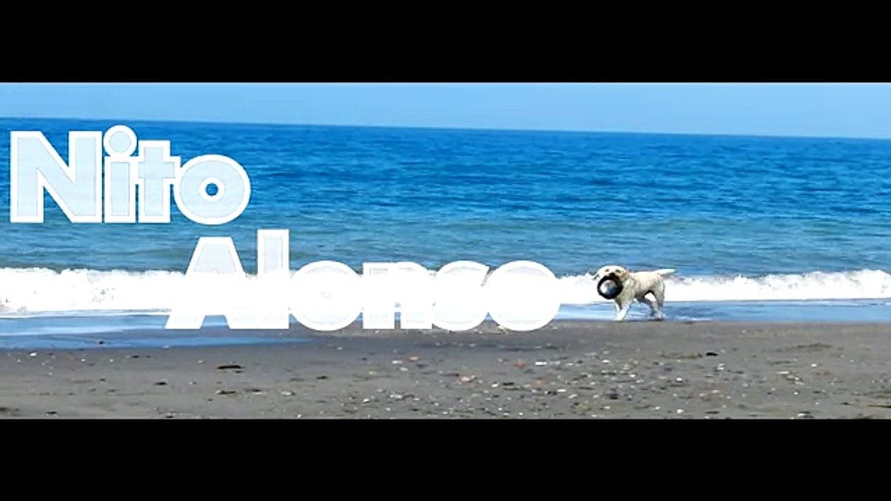 NITO ALONSO-Adrenalina power-skimboard