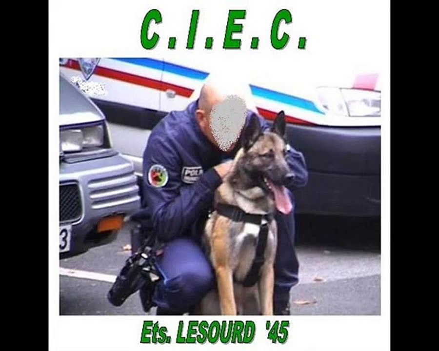 ENTRAINEMENT DE CHIENS D INTERVENTION