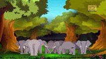 Jataka Tales - The Greedy Forester - Animated / Cartoon Stories for Kids