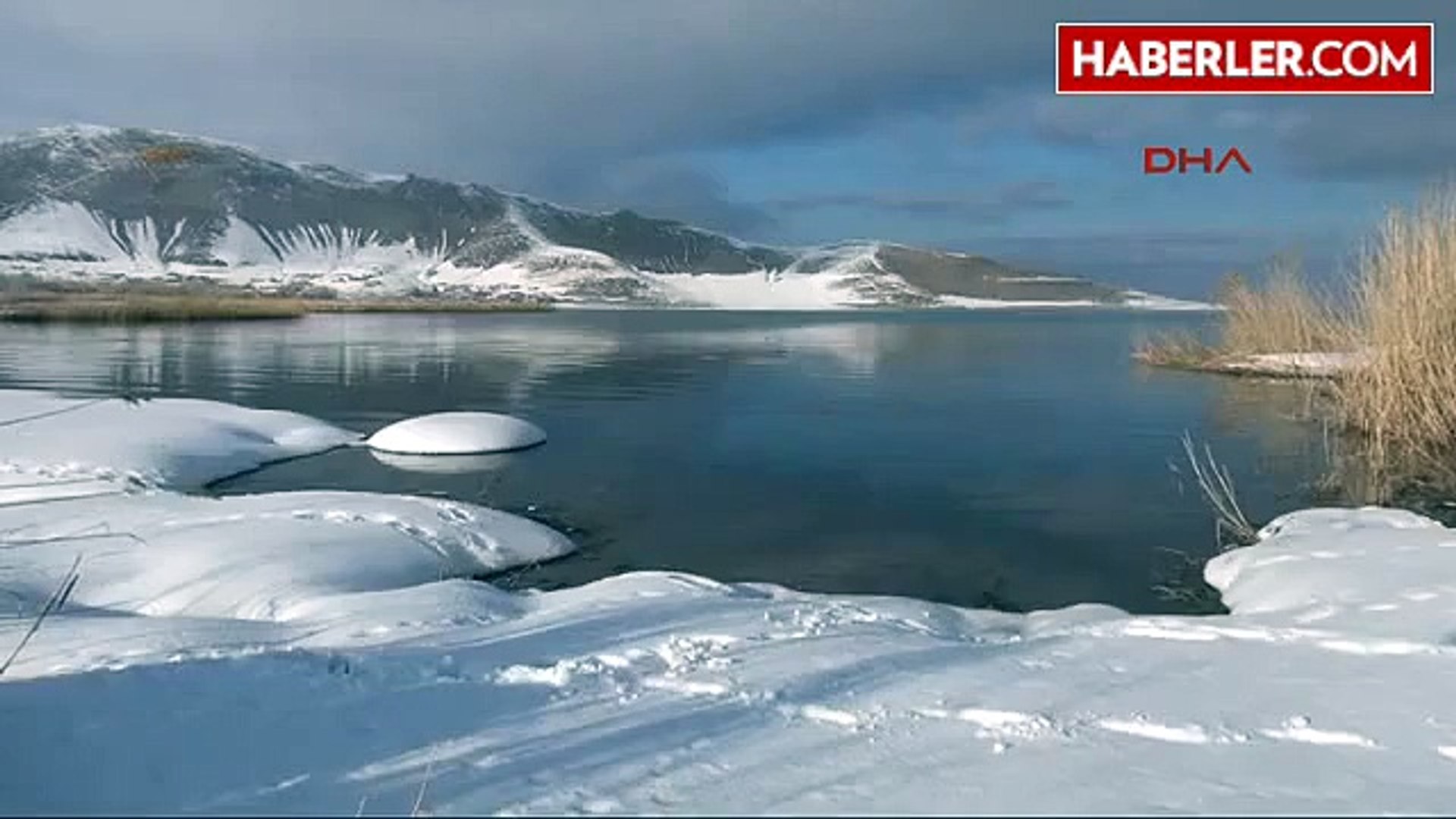 ⁣Van Kuğular, Rusya'dan Van Gölü'ne Geldi