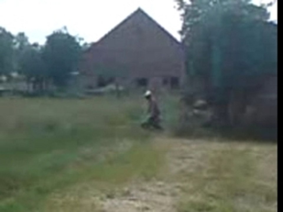 MOV00784