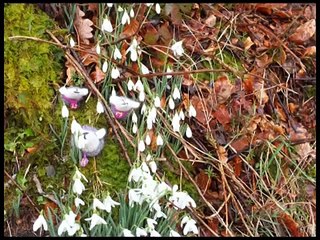 Hattie investigates the Yew Tree Farm and Flock Inn tea room, rosthwaite, borrowdale, cumbria