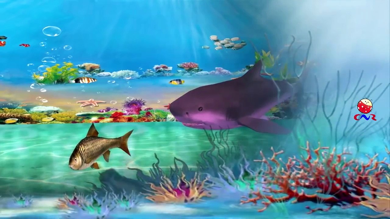 Sharks Cartoon Singing Finger Family Children Nursery Rhymes And Johny Johny Yes Papa Rhym