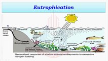 Eutrophication Or Alga Bloom, Industrial effluents , Insecticides , Herbicides & Fertilizers