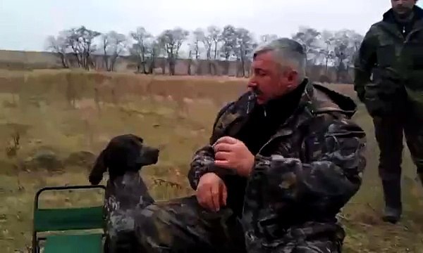 Я хочу такую собаку!