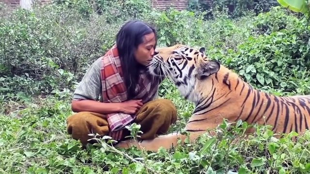 Любовь не знает границ