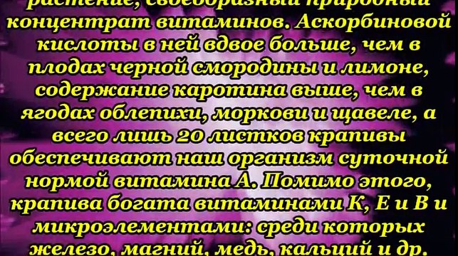 ЗАЧЕМ НАМ ЕСТЬ КРАПИВУ-