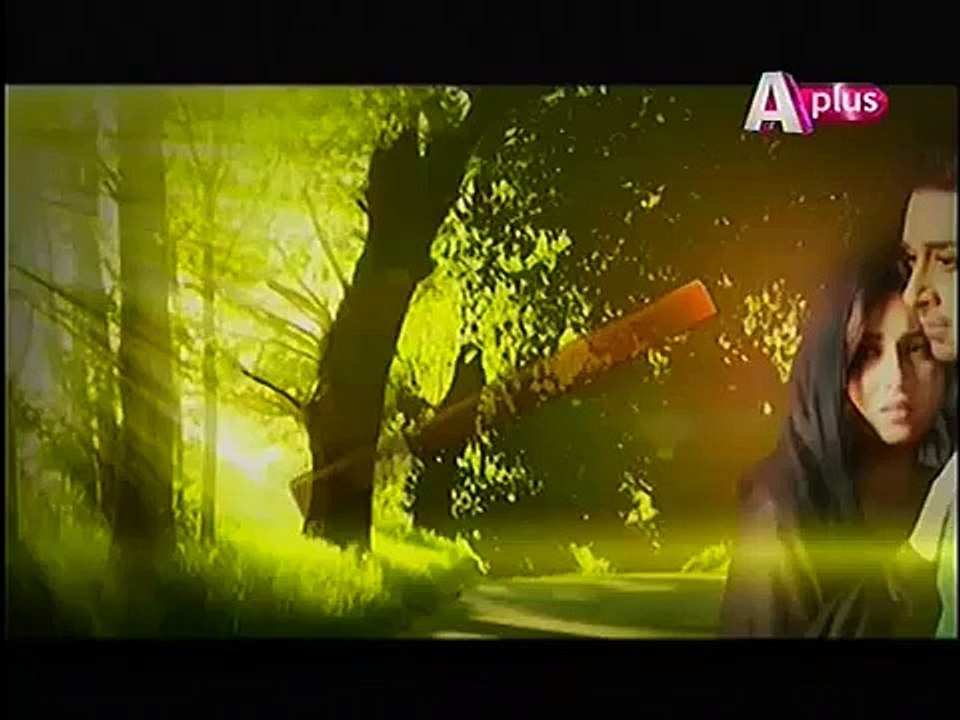 Bheegi Palkein Episode 14 Promo Aplus 12 Feb 2016 IndigoTube