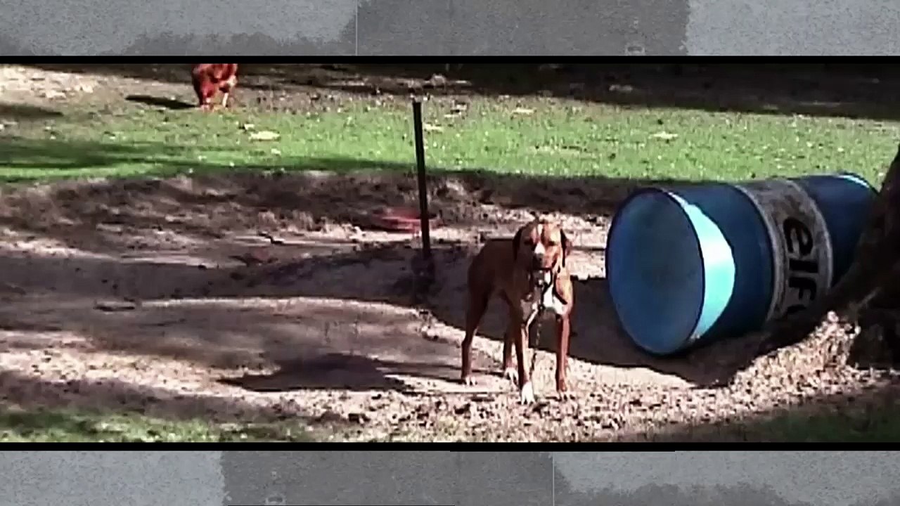 DJ Schmolli - OMG Supergeil (Der Tourist & Friedrich Liechtenstein Vs. Marteria Vs. Deichkind)