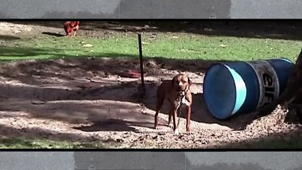 DJ Schmolli - OMG Supergeil (Der Tourist & Friedrich Liechtenstein Vs. Marteria Vs. Deichkind)