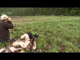 Steve's Outdoor Adventures - British Columbia Black Bear Adventure