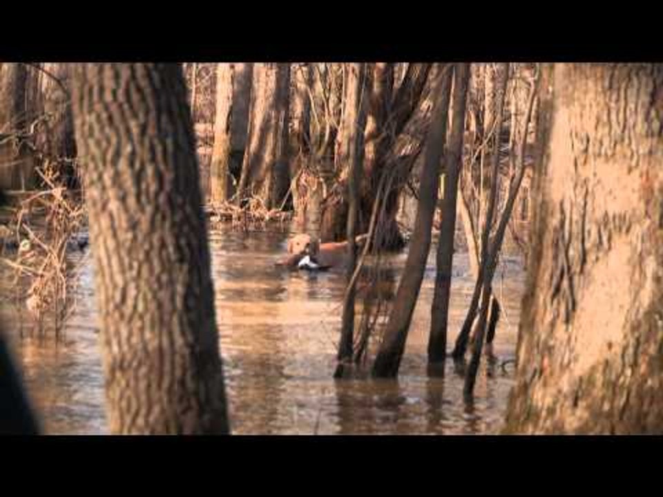 The Fowl Life - Arkansas Tree Huggin - Part 2