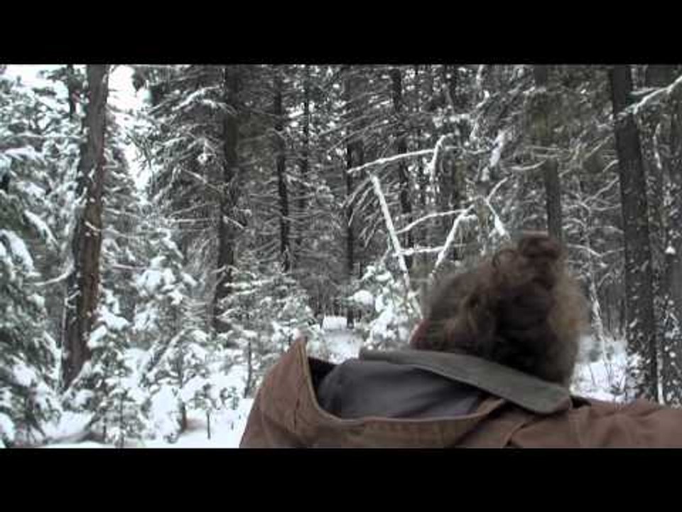Trigger Effect - In The Beginning