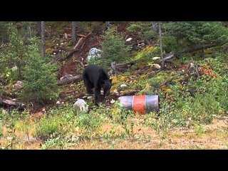 Mathews TV with Dave Watson - Centershot Ministries