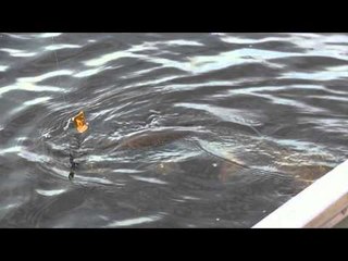 Fish TV - Kesagami Wilderness Lodge Part 2