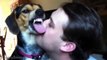Funny Cats and Dogs Who Hate Kisses - Best Cute Video Compilation 2015 HD