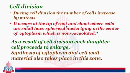 Types Of Growth & Phases of Growth