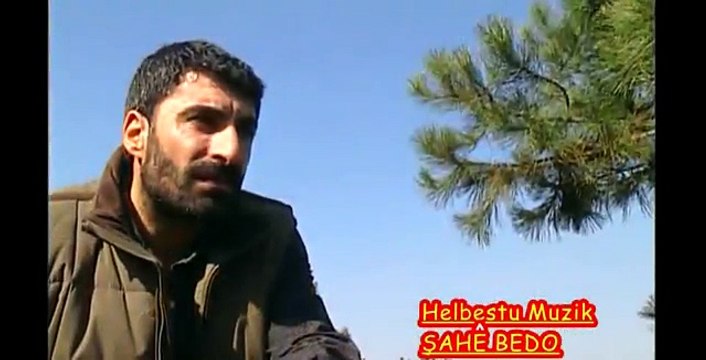 ŞAHE BEDO - ROJ NEÇE - HD - KALİTE