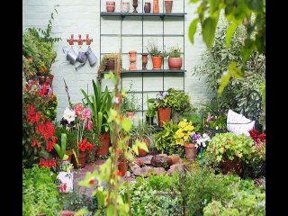 Идеи для вашего сада на Даче