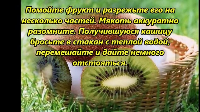 Как вырастить киви в домашних условиях