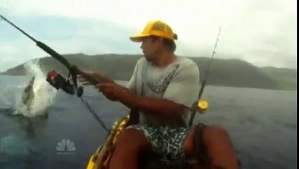 Reel horror,7 scary shark sightings in 60 seconds.