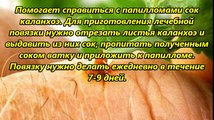 КАК ИЗБАВИТЬСЯ ОТ ПАПИЛЛОМ НАРОДНЫМИ СРЕДСТВАМИ