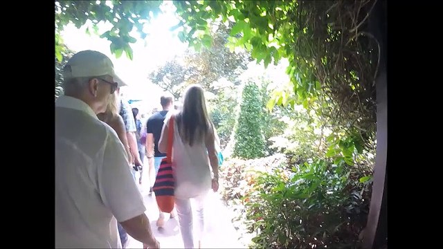 Singapore Botanic Gardens Orchid Garden Tourists Admiring Garden