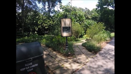 Singapore Botanic Gardens Tanglin Gate Walking In