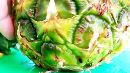 Art In Pineapple Yellow Lantern - Fruit Vegetable Carving Garnish